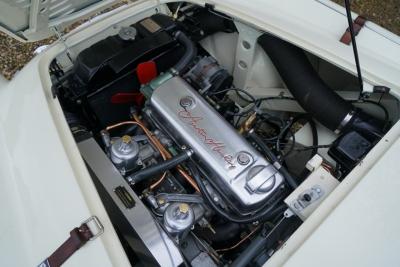 1955 Austin - Healey 100/4 BN1