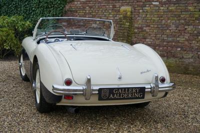 1955 Austin - Healey 100/4 BN1