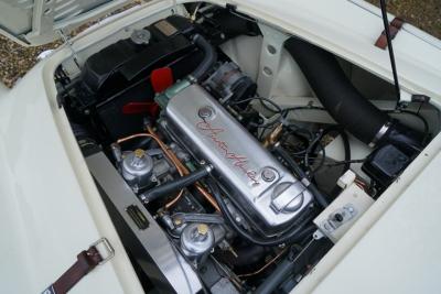 1955 Austin - Healey 100/4 BN1