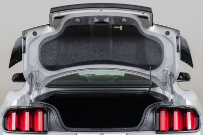 2015 Ford Mustang Shelby GT350R