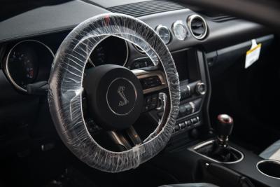 2015 Ford Mustang Shelby GT350R