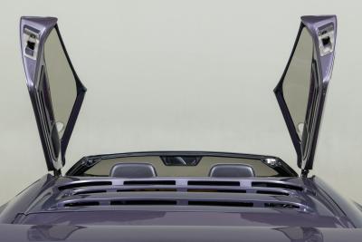 1993 Vector Avtech WX-3R Roadster Prototype