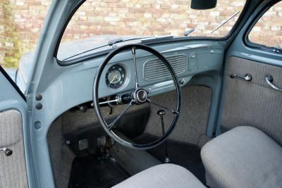 1955 Volkswagen Beetle Oval Window Beetle