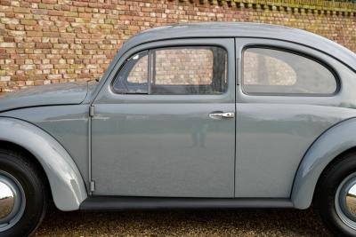 1955 Volkswagen Beetle Oval Window Beetle