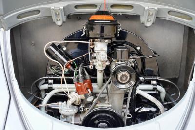 1955 Volkswagen Beetle Oval Window Beetle