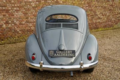 1955 Volkswagen Beetle Oval Window Beetle