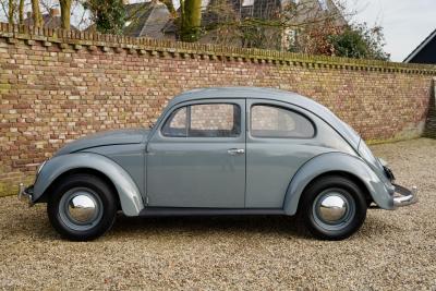 1955 Volkswagen Beetle Oval Window Beetle