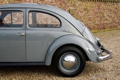 1955 Volkswagen Beetle Oval Window Beetle