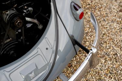 1955 Volkswagen Beetle Oval Window Beetle