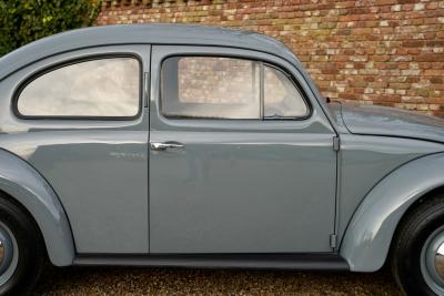 1955 Volkswagen Beetle Oval Window Beetle