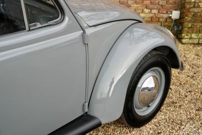 1955 Volkswagen Beetle Oval Window Beetle