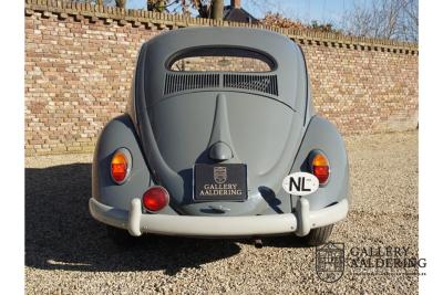 1955 Volkswagen Beetle Standard Oval 1200