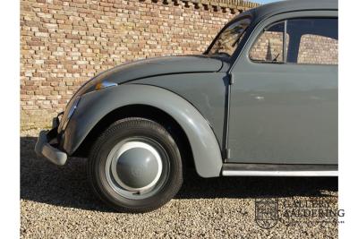 1955 Volkswagen Beetle Standard Oval 1200