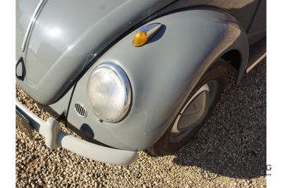 1955 Volkswagen Beetle Standard Oval 1200
