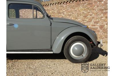 1955 Volkswagen Beetle Standard Oval 1200