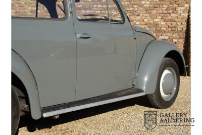 1955 Volkswagen Beetle Standard Oval 1200