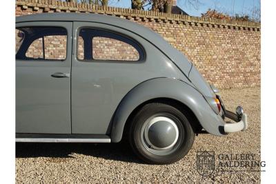 1955 Volkswagen Beetle Standard Oval 1200
