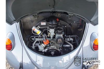 1955 Volkswagen Beetle Standard Oval 1200