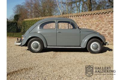 1955 Volkswagen Beetle Standard Oval 1200