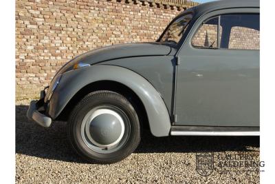 1955 Volkswagen Beetle Standard Oval 1200