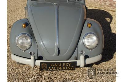 1955 Volkswagen Beetle Standard Oval 1200