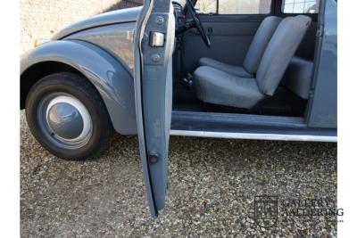1955 Volkswagen Beetle Standard Oval 1200