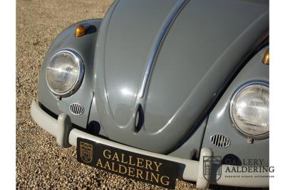 1955 Volkswagen Beetle Standard Oval 1200