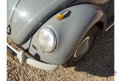 1955 Volkswagen Beetle Standard Oval 1200