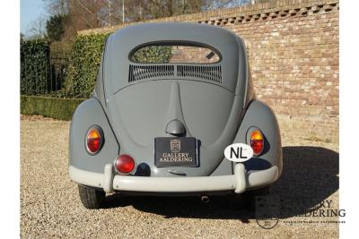 1955 Volkswagen Beetle Standard Oval 1200
