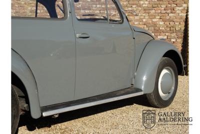 1955 Volkswagen Beetle Standard Oval 1200