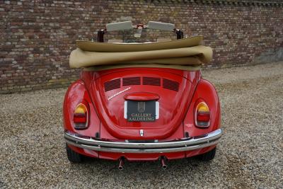 1971 Volkswagen Beetle Cabriolet