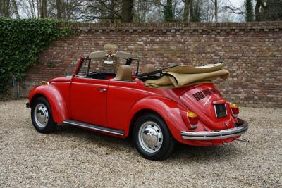 1971 Volkswagen Beetle Cabriolet