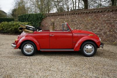 1971 Volkswagen Beetle Cabriolet