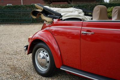 1971 Volkswagen Beetle Cabriolet