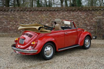 1971 Volkswagen Beetle Cabriolet