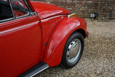 1971 Volkswagen Beetle Cabriolet