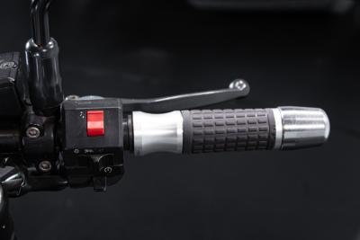 1995 Triumph SPEED TRIPLE