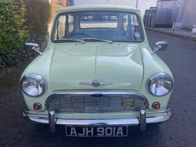 1963 Mini Minor