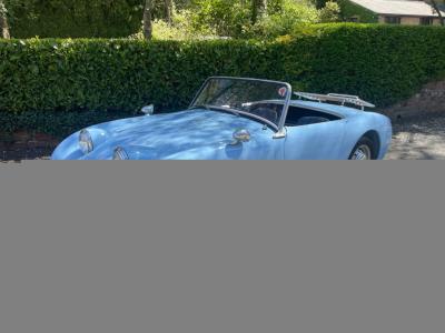 1959 Austin - Healey Sprite MK1