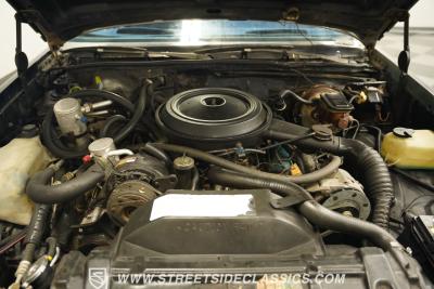 1981 Oldsmobile Cutlass