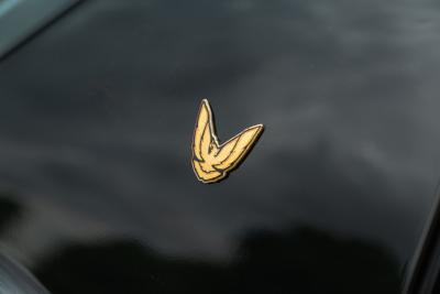 1989 Pontiac Firebird Trans-Am