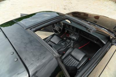 1989 Pontiac Firebird Trans-Am