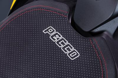 2024 Ducati PANIGALE V4 BAGNAIA WORLD CHAMPION REPLICA