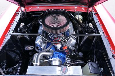 1965 Ford Mustang Fastback &ldquo;302 V8-Madness Power by Karl Ness&rdquo;