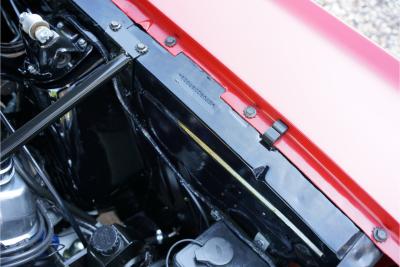 1965 Ford Mustang Fastback &ldquo;302 V8-Madness Power by Karl Ness&rdquo;