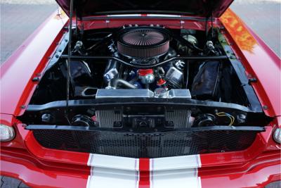 1965 Ford Mustang Fastback &ldquo;302 V8-Madness Power by Karl Ness&rdquo;