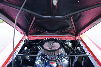1965 Ford Mustang Fastback &ldquo;302 V8-Madness Power by Karl Ness&rdquo;