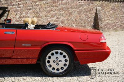 1991 Alfa Romeo Spider 2.0 Type 4 &ldquo;Two owners from new&rdquo;