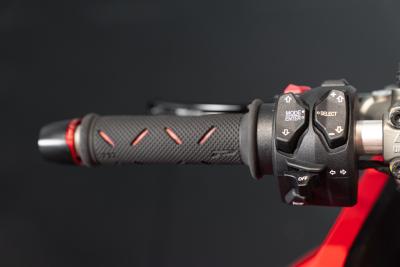 2019 Ducati DUCATI PANIGALE V4 SPECIALE