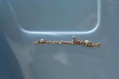 1968 Fiat CAMPAGNOLA 1101 A